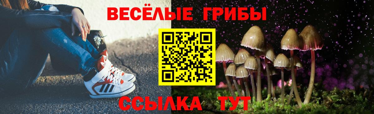 Екатеринбург  Галлюциногенные грибы Psilocybe  Вход с VPN  где можно купить   Галлюциногенные грибы Psilocybine cubensis 